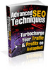 Thumbnail Advanced S.E.O. Techniques  