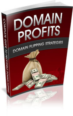 Product picture Domain Profits